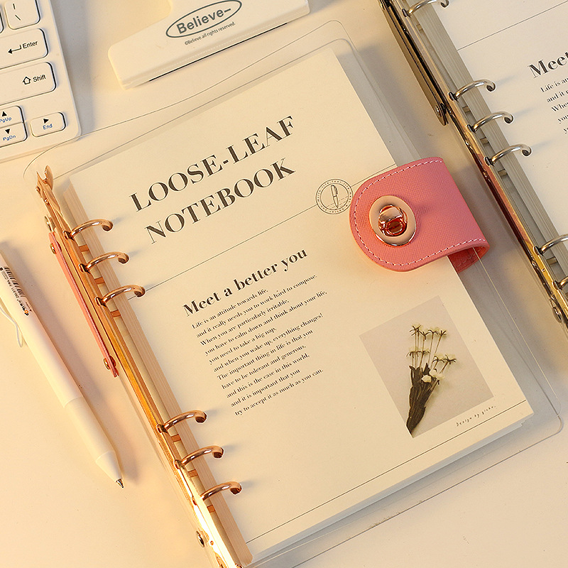 Ring Binder Box - A5 B5 Rose Gold With Wallet