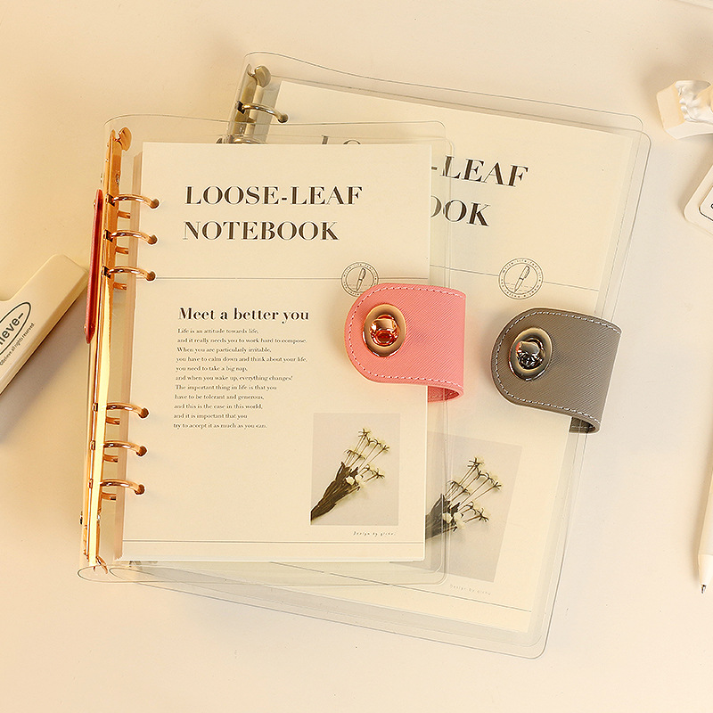 A5 B5 Rose Gold With Wallet Bu - огляд і ціна Ring Binder Box